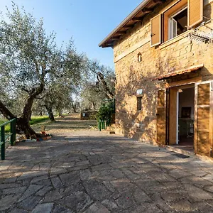 Casetta Maduneta Immersa In Un Oliveto Dolceacqua